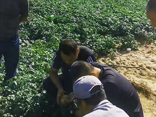 實(shí)驗(yàn)田觀(guān)摩產(chǎn)品